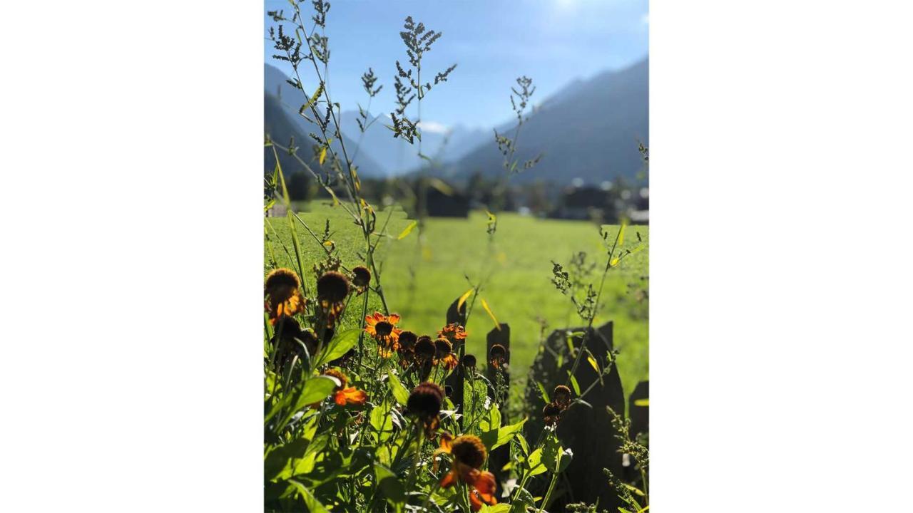 Gastehaus Haus Barbara Apartment Neustift im Stubaital Bagian luar foto